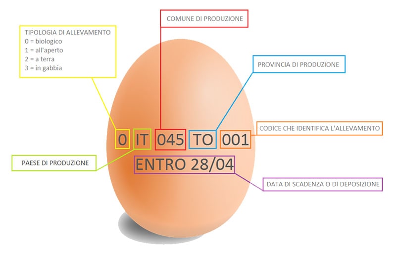 Conosci i numeri stampati sull’uovo di gallina?
