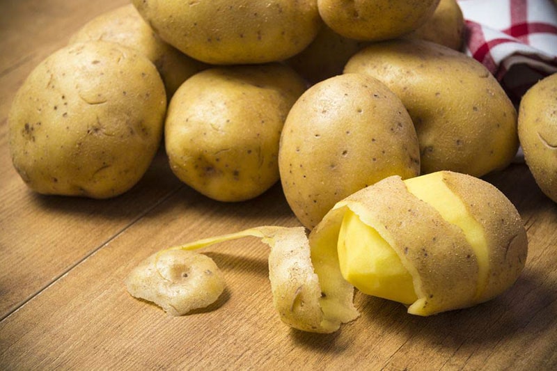 Il tubero di patata