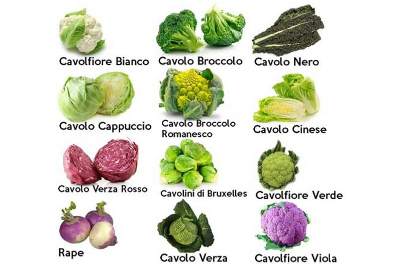 Benefici nutrizionali delle verdure crocifere