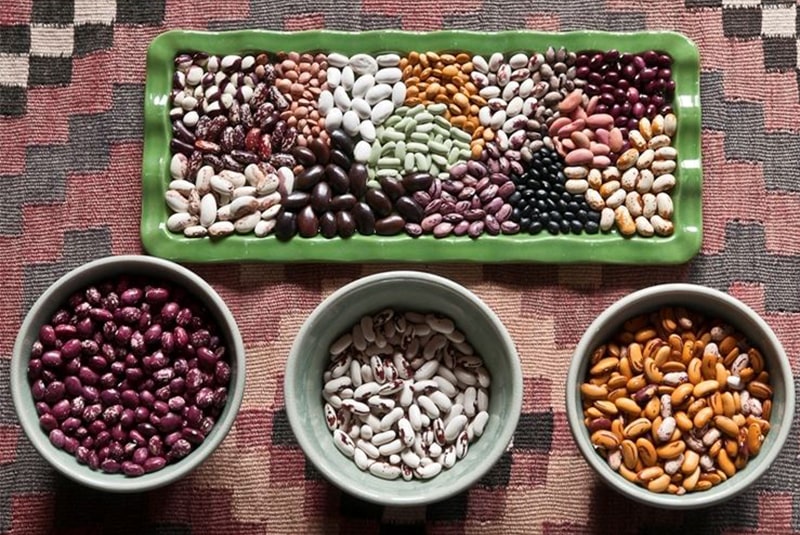 Al via la challenge quotidiana 2024 dedicata ai fagioli lanciata da NutritionFacts.org